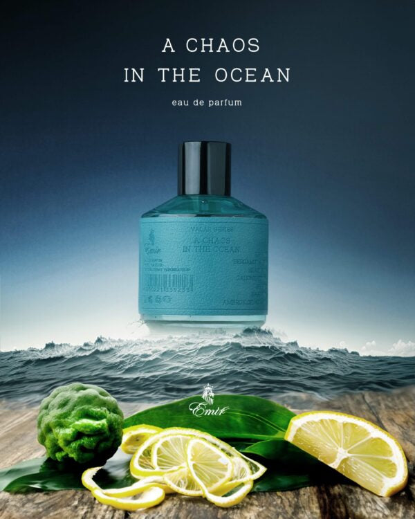 Emir A CHAOS IN THE OCEAN