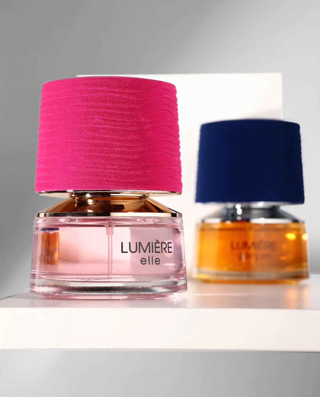 French Avenue LUMIERE GARCON