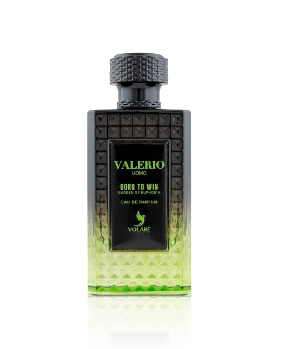 Volaré VALERIO UOMO BORN TO WIN