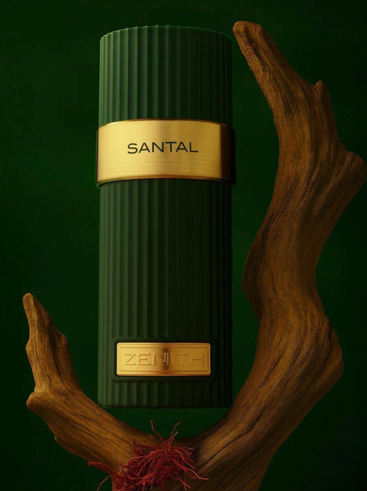 French Avenue ZENITH SANTAL